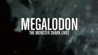 Megalodon attacks boat south africa