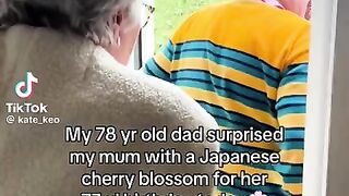 Surprising your life partner with a Japanese cherry blossom tree