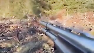 A hunter while aiming at a deer, pulls down his weapon, and she peacefully approaches him.