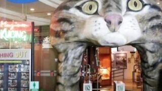 Museum Kucing di Malaysia