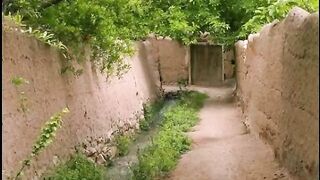 Best bayan by a darwaish