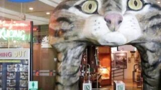Cat Museum in Malaysia