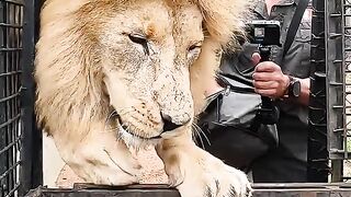 Amazing video...