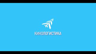 Любовь без памяти — Русский трейлер (2024)