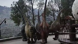Enjoy