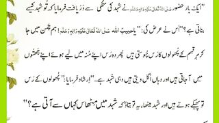 شرعی مسائل اور ان کا حل