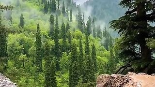 Neelam Valley Azad Kashmir is also an example of its beauty  #iphone_muzaffarabad  It is