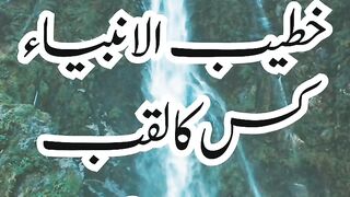 question answer