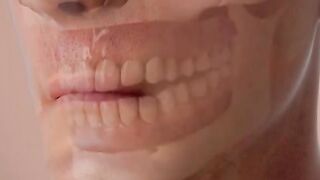 How Human Body Turns Food Into Body Fat? (3D Animation)