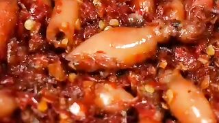 cook squid fish with spicy spices