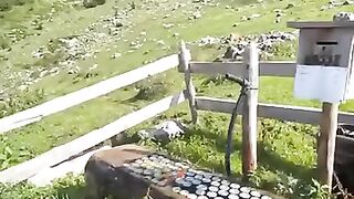 The Trust!