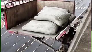 New Vegetable Transplanting -Bs-Goland