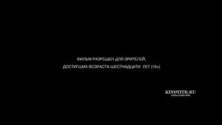Магазинные воришки всего мира   Shoplifters of the World