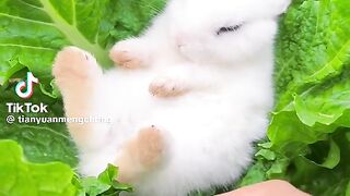Cute baby