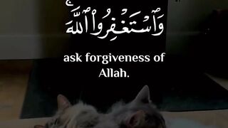 Quran arbe # #quran #trending #viral #foryou #shorts #tik_tok # iNFO