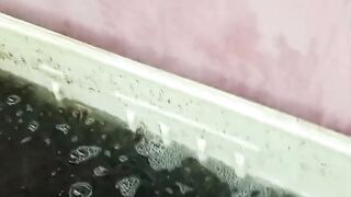 Apa kelemahan kolam KECIL selain tebar bibit lele SEDIKIT