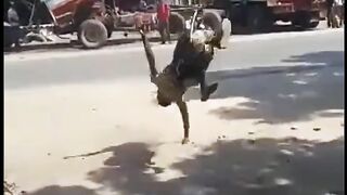 Much respect to this mom sportify
