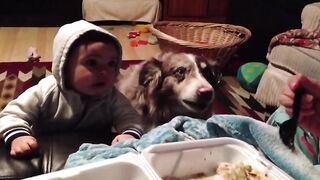 Mom Offers Baby A Treat If He Says -Mama-, Dog Says It First