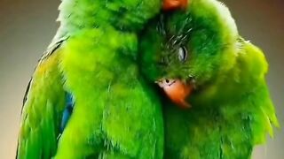 Beautiful couple