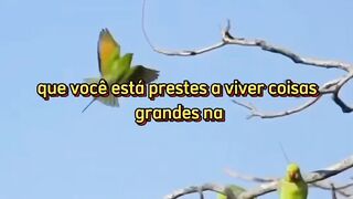 #5proposito de Deus