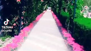 Beautiful all