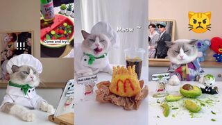 Little puff yiktok compilation HD