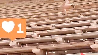trending video