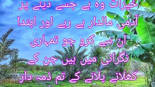 Behtareen kherat