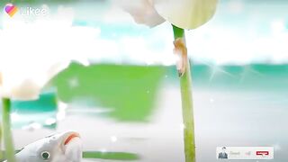 Banao