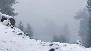 Beautiful Snow Falling