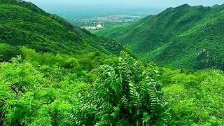 Faisal Musjid beauty