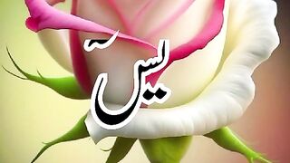 Surah Yasin tilawat | Quran recitation | al Quran| Quran videos