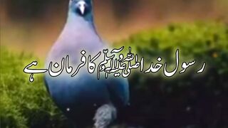 Bv k moo pr tamansha marny ka azab||  education|| Kashaf butt