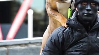 Introducing the American bully  ! this impressively built dog will give you all the love you need !.????