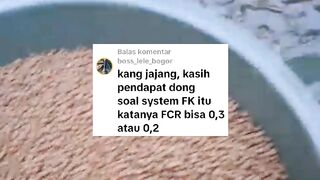 Pendapat JUJUR saya tentang FCR 0,3 nya FK❗Saya tetap support