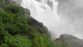 NATURE 072