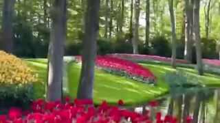 طبيعة خلابة