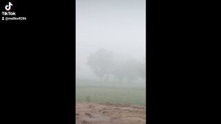 Fogg came back