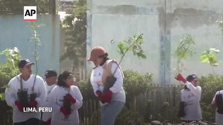 More than 500 trees planted in Lima ahead of Earth Day.