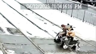 A boy and a dog help a lady in a wheelchair, stuck on rails  Couldnt find the source, dono if its real but I want it to be