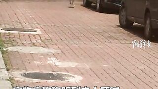 The pet store dog heard its owner shout and ran back to the store happily, with cute and cheerful movements