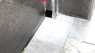 The little squirrel living in the corner