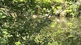 “Earth’s Splendor: A Visual Journey through Nature”