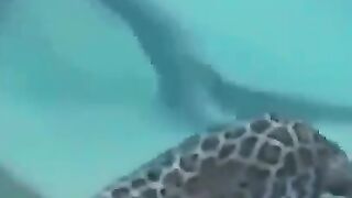 5 More Horrible Ways Animals Can End You