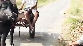 Funny video