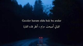 Zerrin Özer - basit numaralar