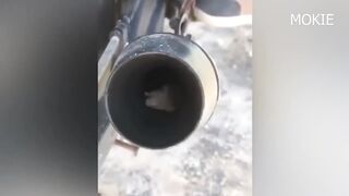 SI TE RIES PIERDES NIVEL DIOS ????(412% IMPOSIBLE!!!)???? VIDEO DE RISA .