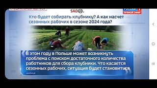 В ПОЛША НЯМА СЕЗОННИ РАБОТНИЦИ