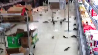 See the fish in the world's largest Dubai Mall
