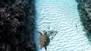 The sea is beautiful